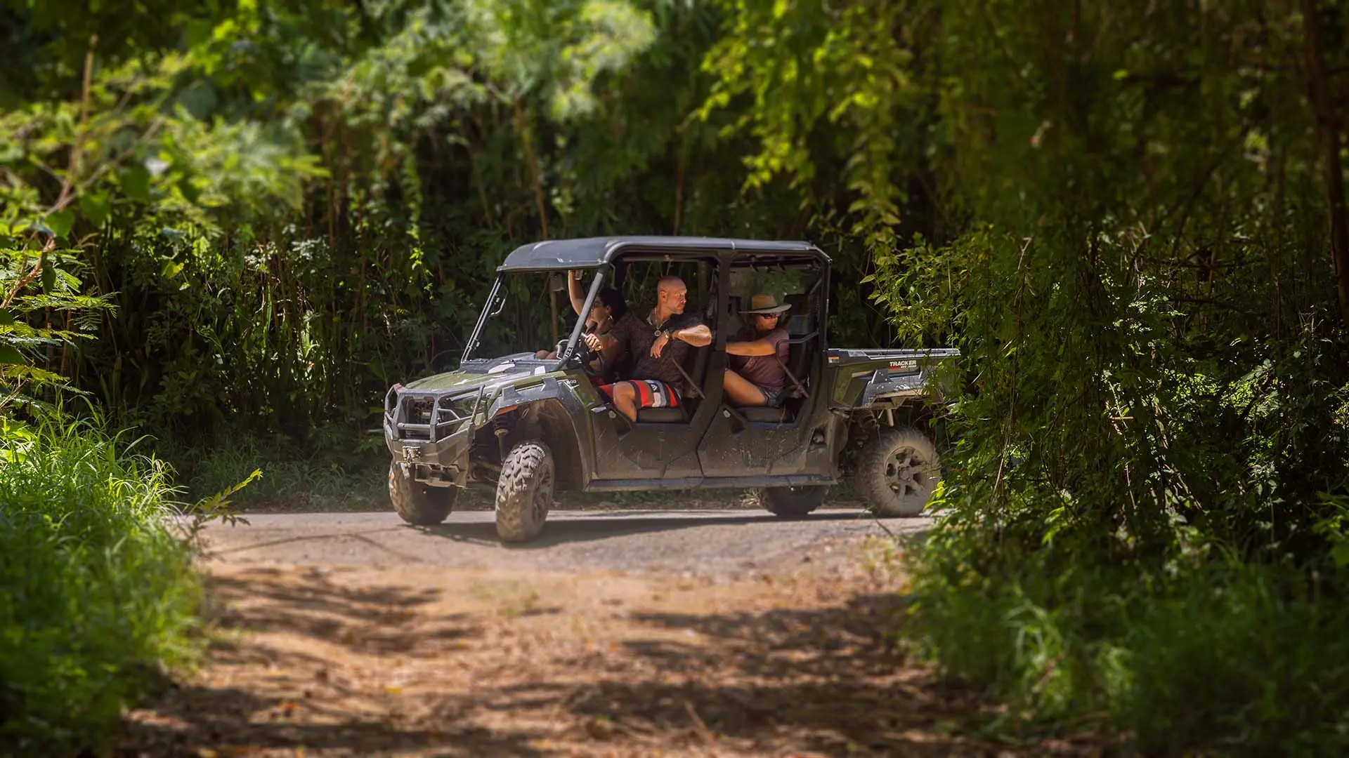 adventure in Forest